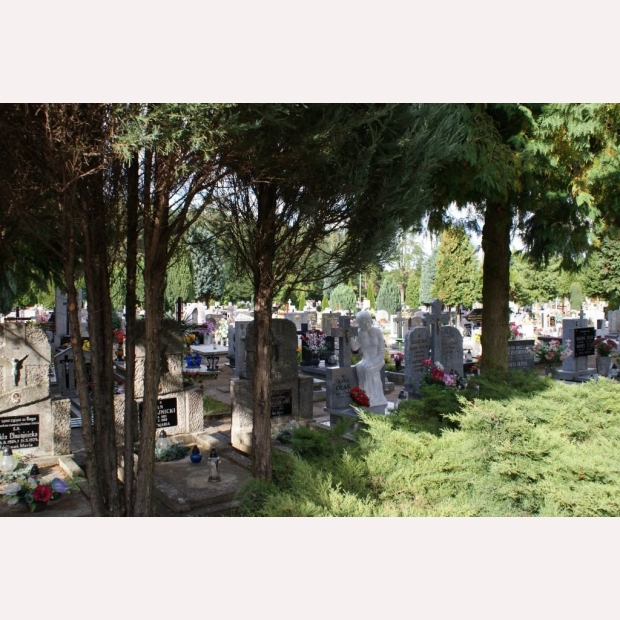 Sektory na cmentarzu parafialnym